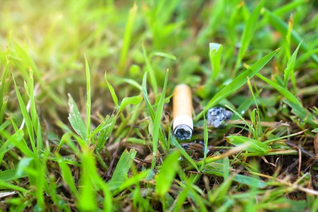 Курение вредит экологии