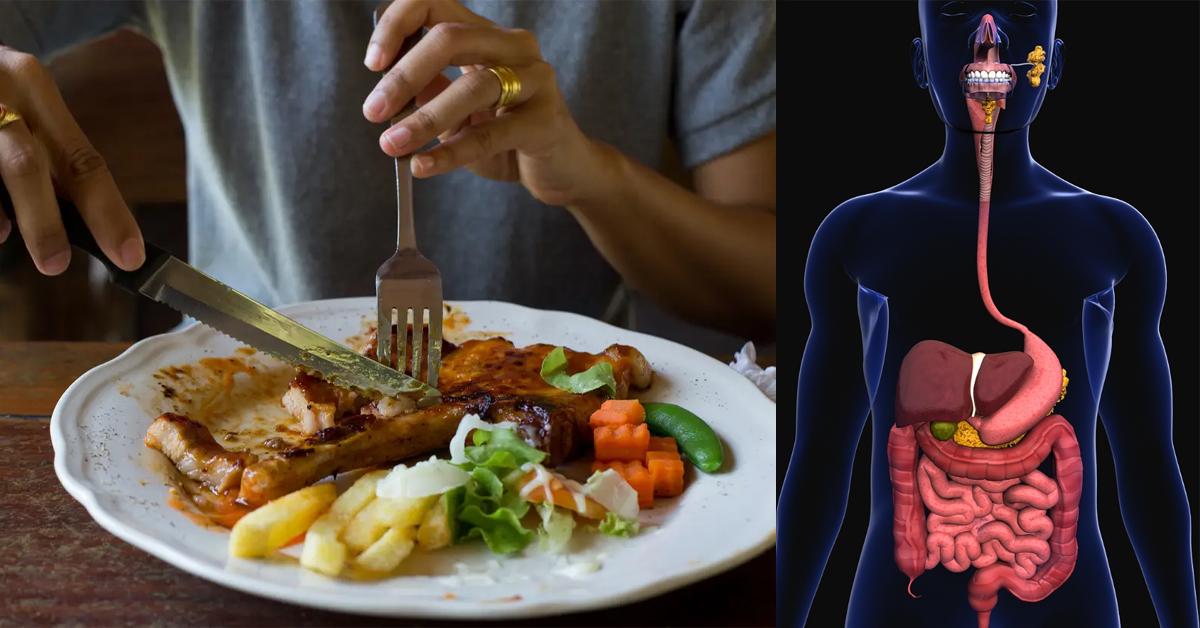 Ուտելուց հետո երբեք այս գործողությունը չանեք, այն շատ վտանգավոր է ձեր առողջության համար