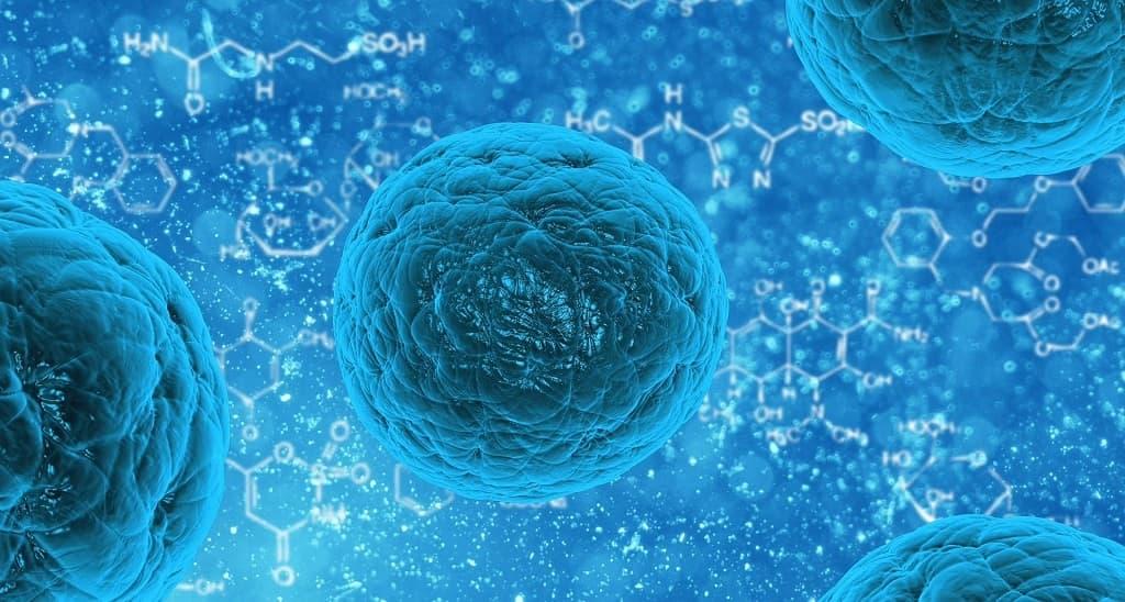 Invisible stem cells